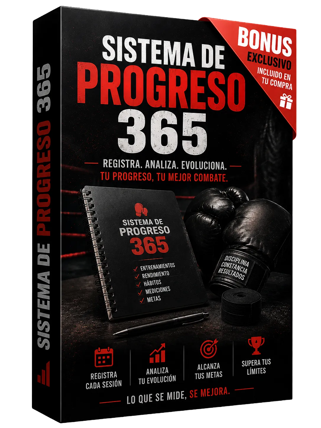 Sistema de Progresso